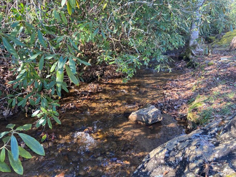 Creekside Gated Golf Mtn Villa W/Fast Wifi & Paved Franklin Buitenkant foto
