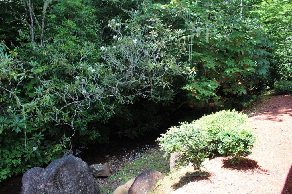 Creekside Gated Golf Mtn Villa W/Fast Wifi & Paved Franklin Buitenkant foto