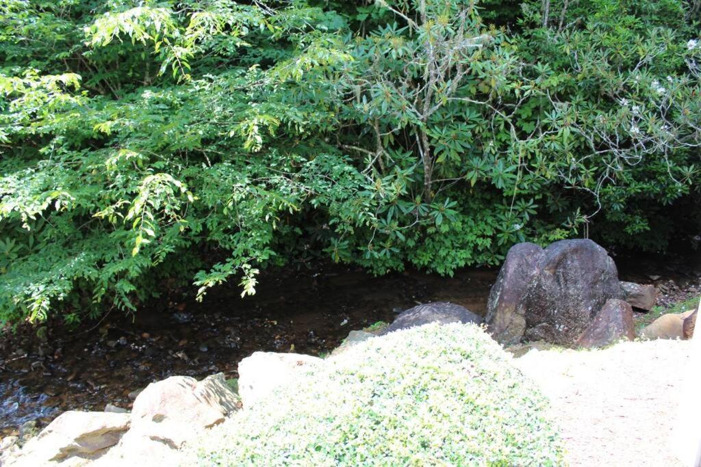 Creekside Gated Golf Mtn Villa W/Fast Wifi & Paved Franklin Buitenkant foto